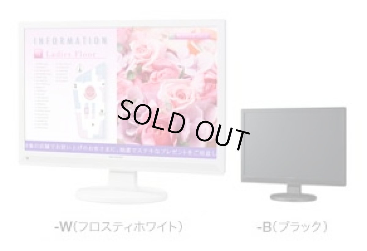 画像2: LL-W191-B│ワイドモニター 19型│幅広いニーズに応える液晶モニター (2)