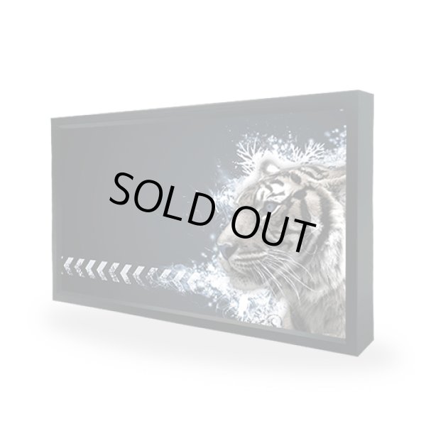 画像2: 屋外LEDビジョン│5mmピッチ│SMD│フルカラーLED 5500cd/㎡│W1280mm×H640mm (2)