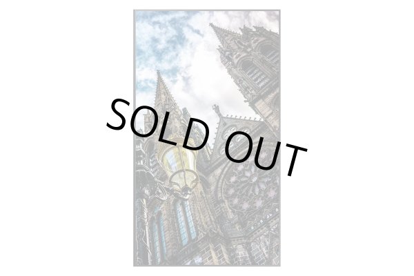 画像4: SAMSUNG製品｜85型｜QM85N (4)