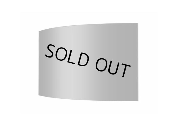 画像4: 湾曲可能なフレキシブルな有機ELモニター｜LG｜55V｜400cd/㎡ (4)