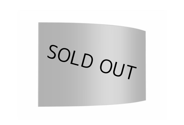 画像5: 湾曲可能なフレキシブルな有機ELモニター｜LG｜55V｜400cd/㎡ (5)