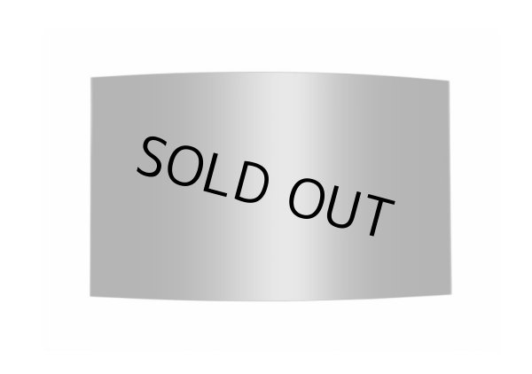 画像2: 湾曲可能なフレキシブルな有機ELモニター｜LG｜55V｜400cd/㎡ (2)