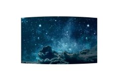 画像1: 湾曲可能なフレキシブルな有機ELモニター｜LG｜55V型｜400 cd/m² (1)