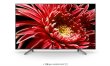 画像1: KJ-75X8550G/BZ｜4K液晶テレビ 法人向けブラビア｜SONY｜75V型｜620cd/㎡ (1)