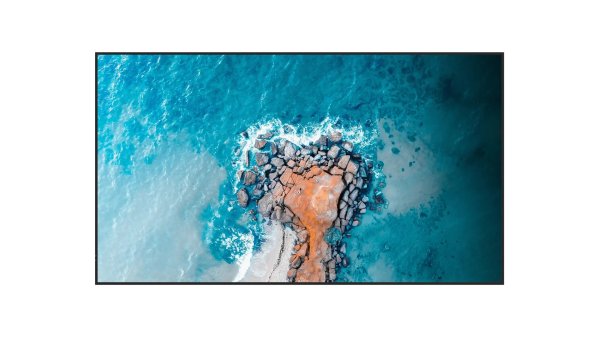 画像2: TD-Z754|REGZA|75V型|500cd/㎡|24時間連続稼働が可能な4K業務用ディスプレイ (2)