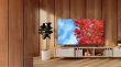 画像1: 65C350M｜REGZA｜65V型｜４K液晶レグザ｜法人向けディスプレイ｜テレビもネット動画も 大画面で美しく快適に (1)