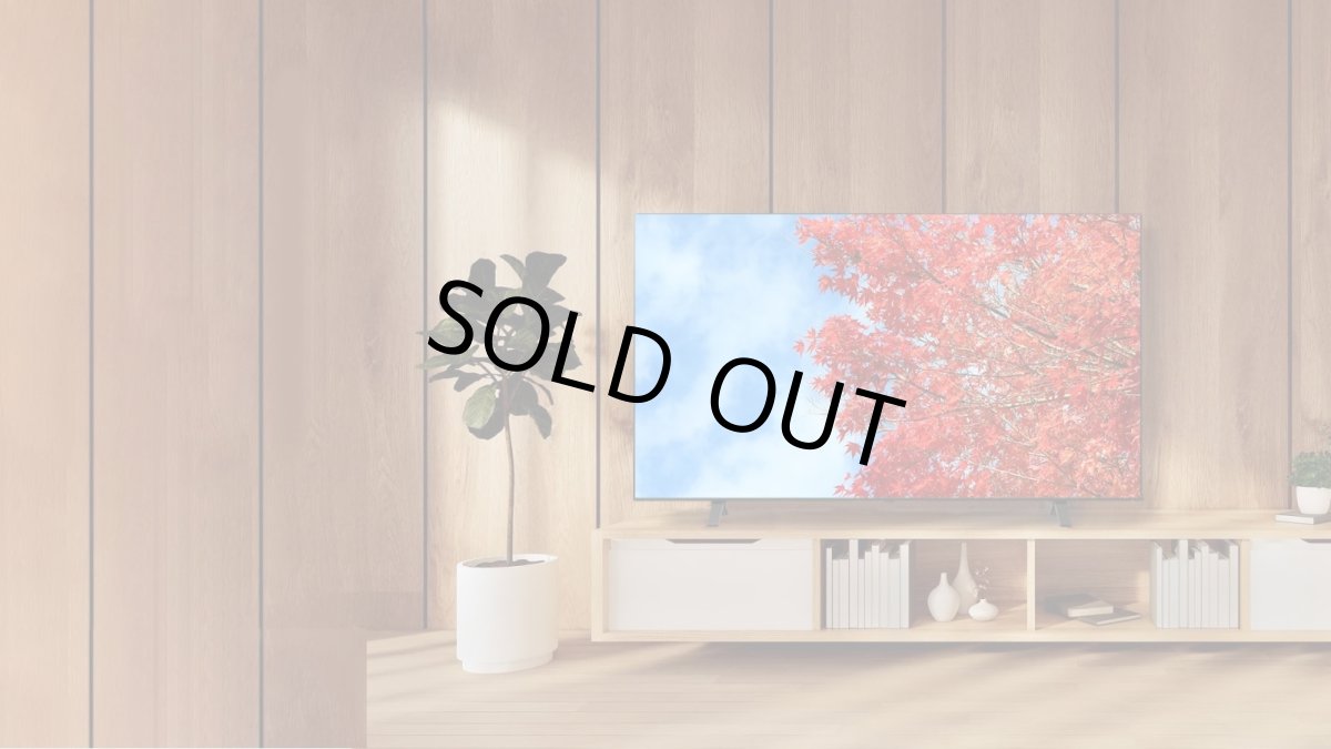 画像1: 50C350M｜REGZA｜50V型｜４K液晶レグザ｜法人向けディスプレイ｜テレビもネット動画も 大画面で美しく快適に (1)