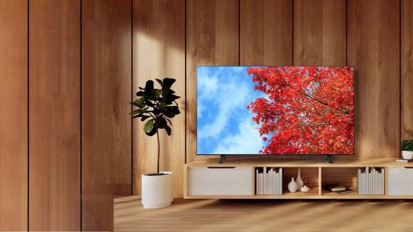画像1: 65C350M｜REGZA｜65V型｜４K液晶レグザ｜法人向けディスプレイ｜テレビもネット動画も 大画面で美しく快適に (1)