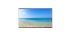 画像3: TD-C654｜REGZA｜65V型｜350cd/㎡｜TD-C4 シリーズ｜低反射で見やすい業務用4Kディスプレイ (3)