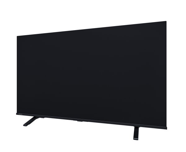 画像4: 55C350R｜REGZA｜55V型｜４K液晶レグザ｜法人向けディスプレイ｜テレビもネット動画も 大画面で美しく快適に (4)