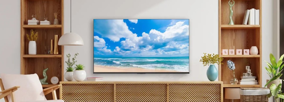 画像2: 65C350R｜REGZA｜65V型｜４K液晶レグザ｜法人向けディスプレイ｜テレビもネット動画も 大画面で美しく快適に (2)