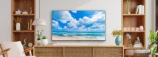 画像2: 65C350R｜REGZA｜65V型｜４K液晶レグザ｜法人向けディスプレイ｜テレビもネット動画も 大画面で美しく快適に (2)