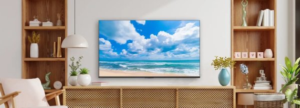 画像2: 50C350R｜REGZA｜50V型｜４K液晶レグザ｜法人向けディスプレイ｜テレビもネット動画も 大画面で美しく快適に (2)