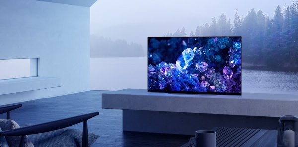 画像2: XRJ-48A90K/LB｜SONY｜48V型｜4K有機ELテレビ 法人向けブラビア (2)