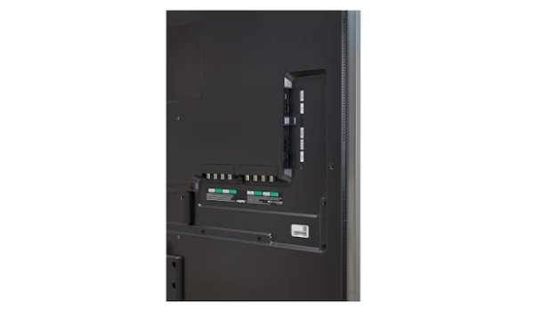 画像10: 65EP5Q-B｜LG｜65型｜330cd/㎡｜高輝度プロフェッショナル有機ELモニター｜ (10)
